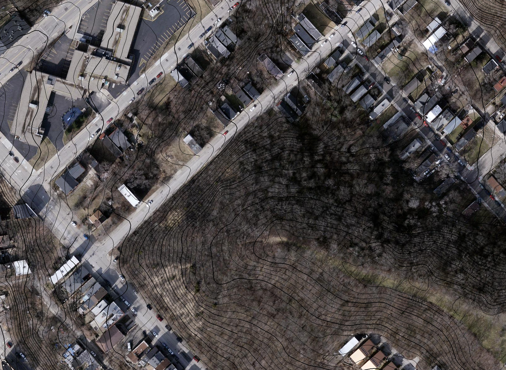 Aerial view of a steep hill covered in trees, with Rice St running next to it