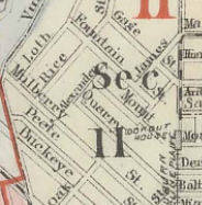 Robinson 1884